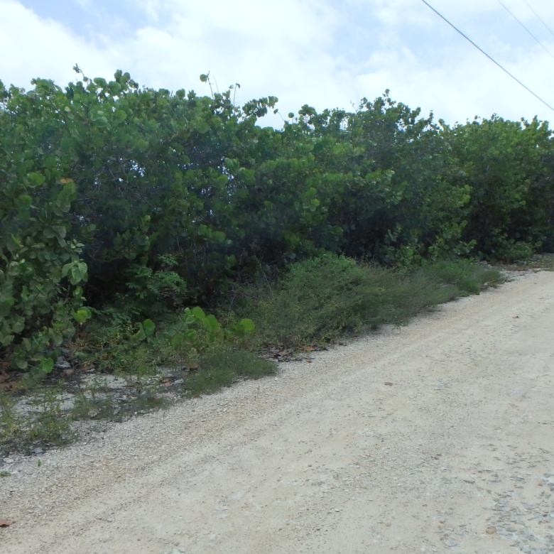 20260803085309 87A26 Road facing east