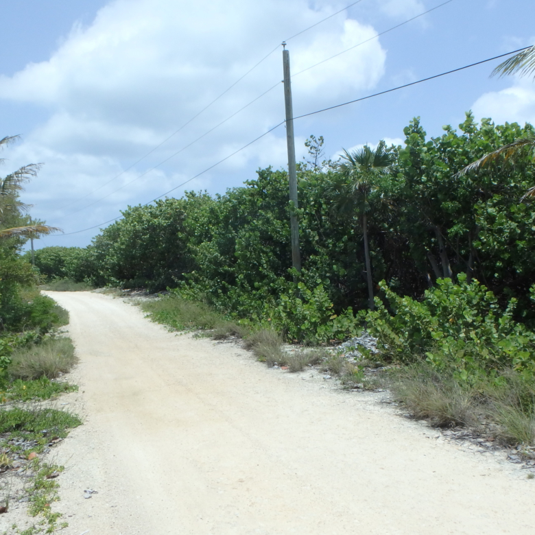 20260803085314 87A26 Road Side