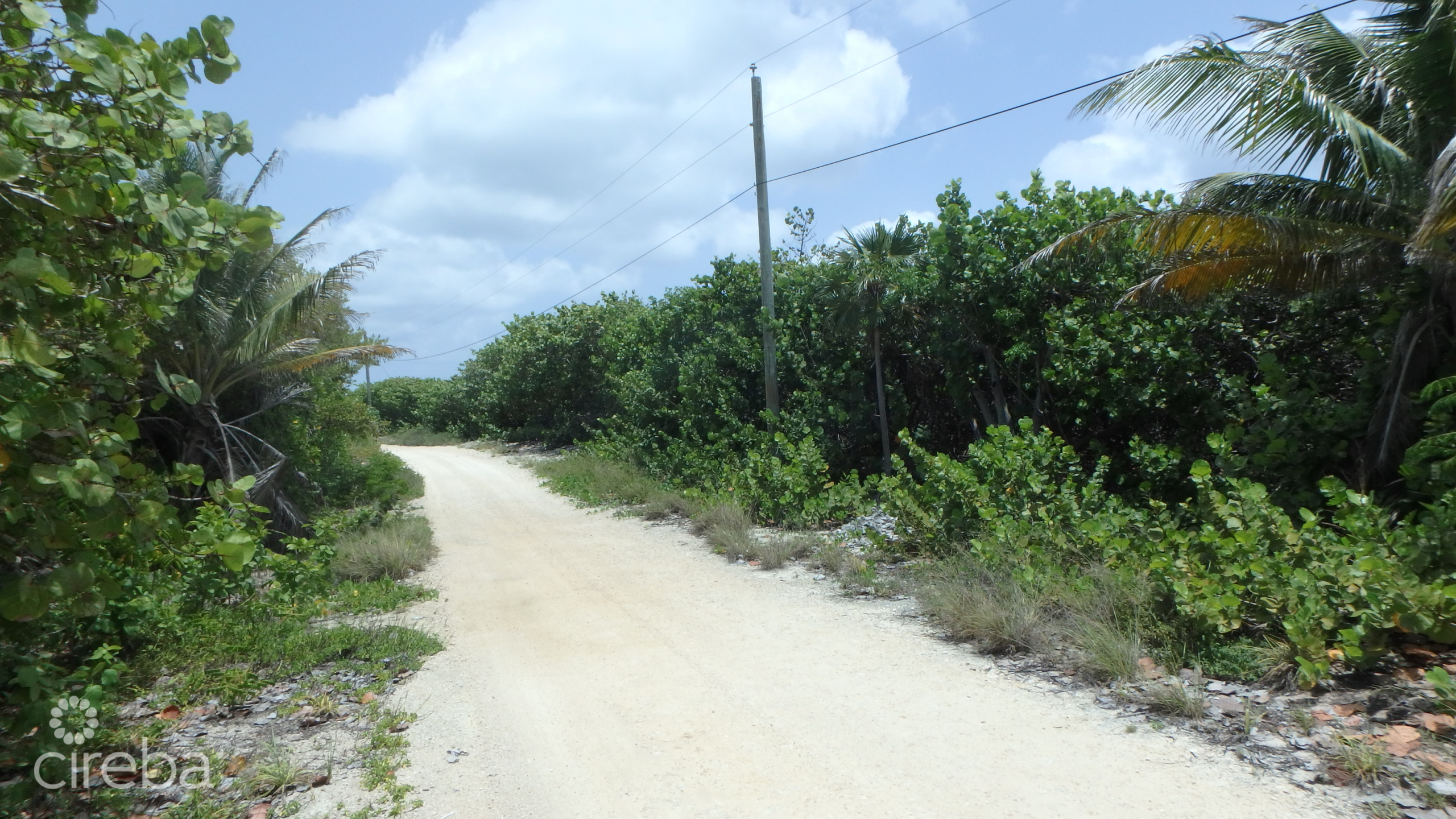 20260803085314 87A26 Road Side