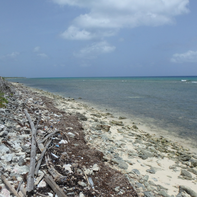 LITTLE CAYMAN NORTH SIDE OCEAN FRONT LAND