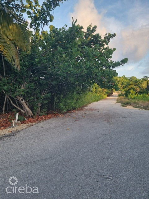 20260804155024 land road and trees