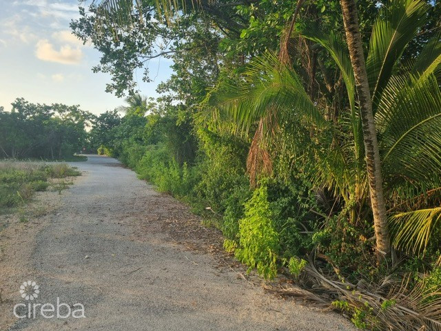 20260804155025 land showing road