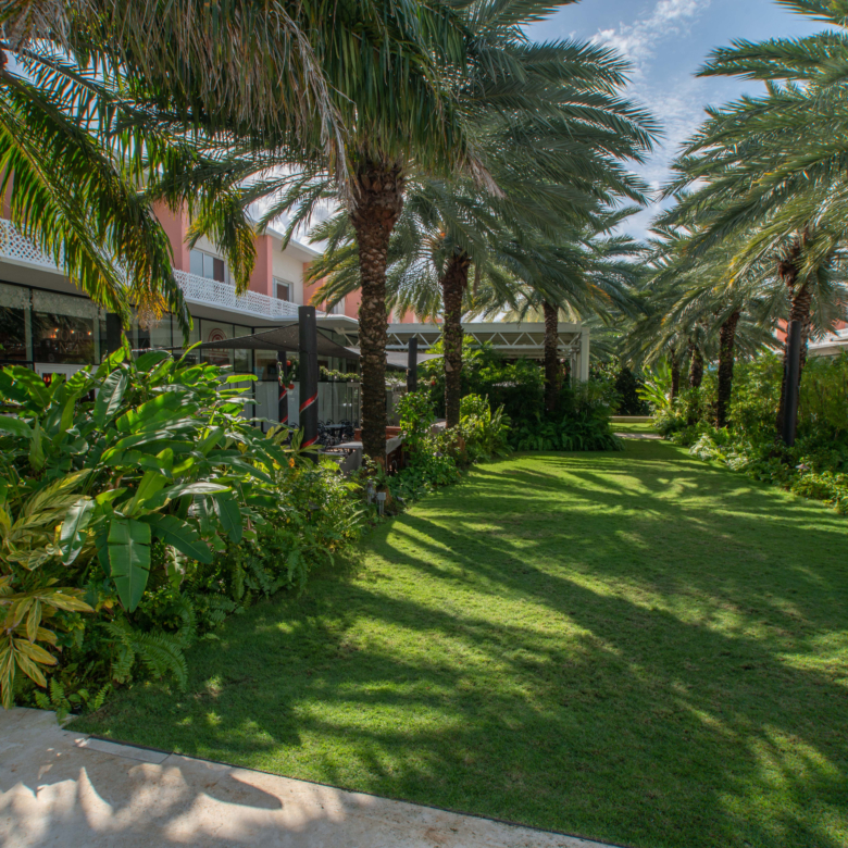 20260806092938 TheGroveToo93