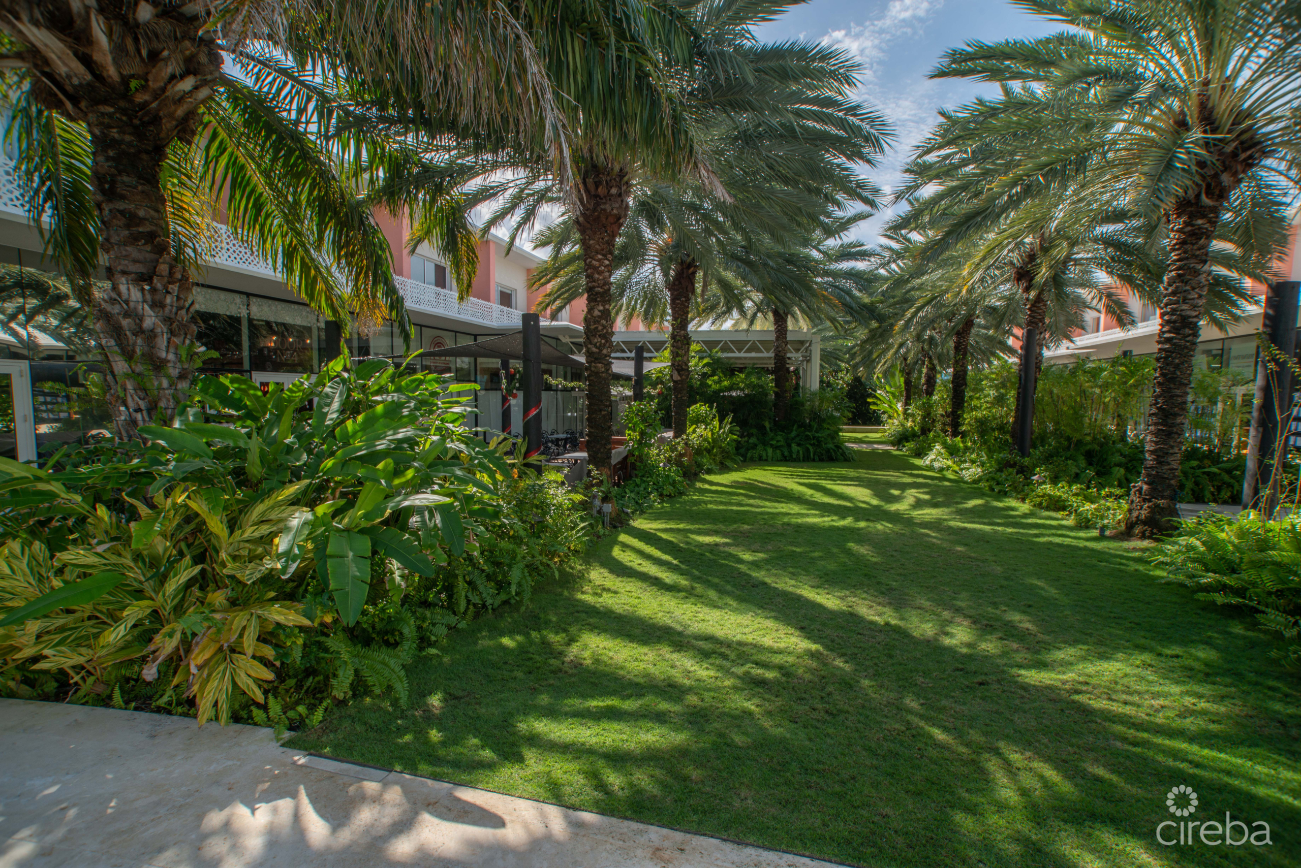 20260806092938 TheGroveToo93