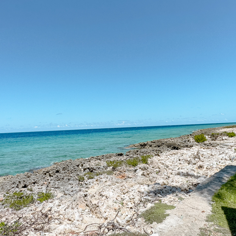 20260805170306 IMG