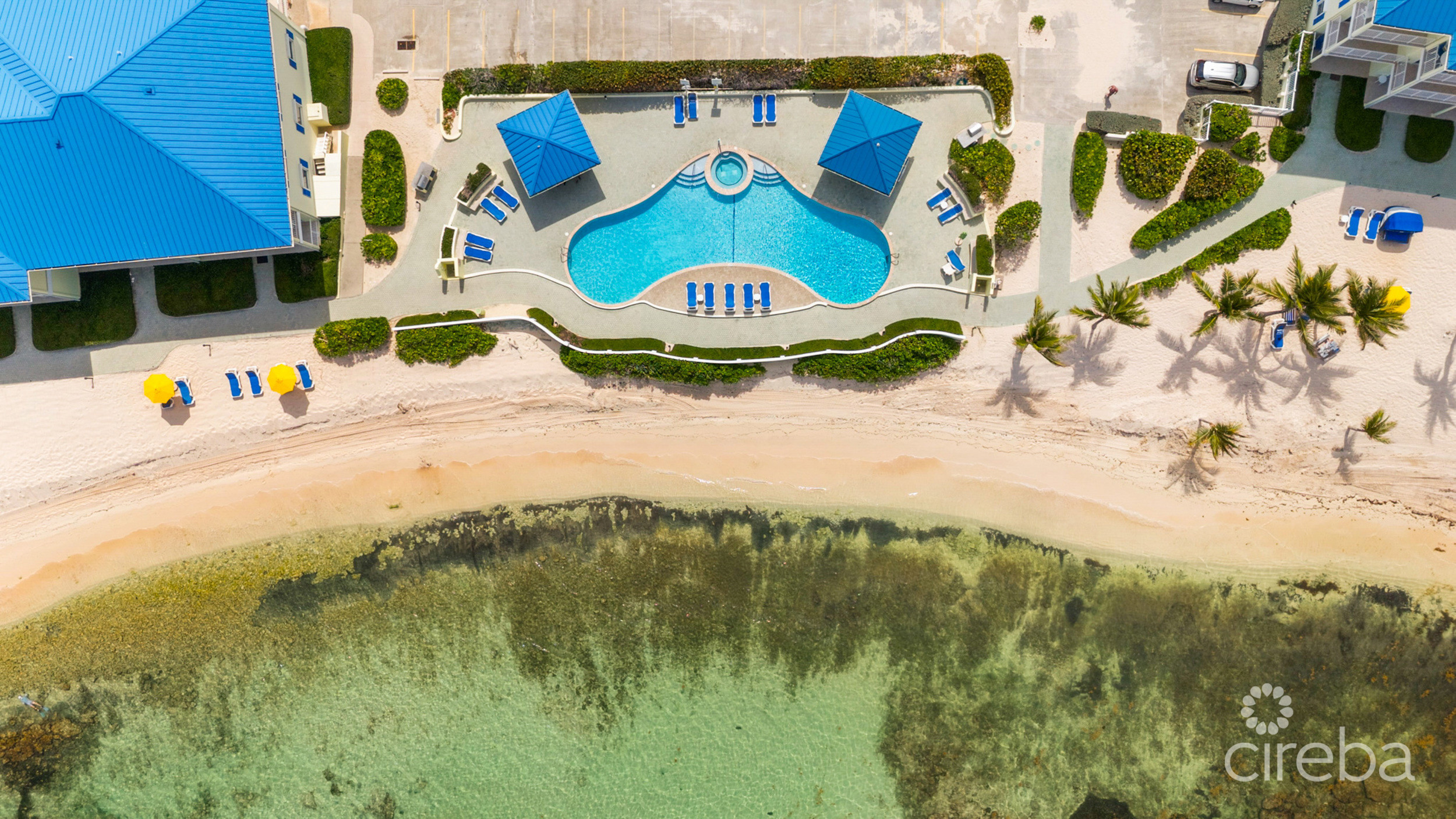 20260807135941 28 54 20260314dji fly 20260314 142018 0181 1773526341811 photo