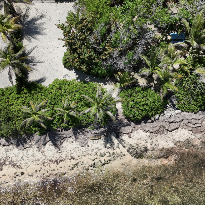 20261005150332 dji fly 20261005 114634 0055 1791219397516 photo