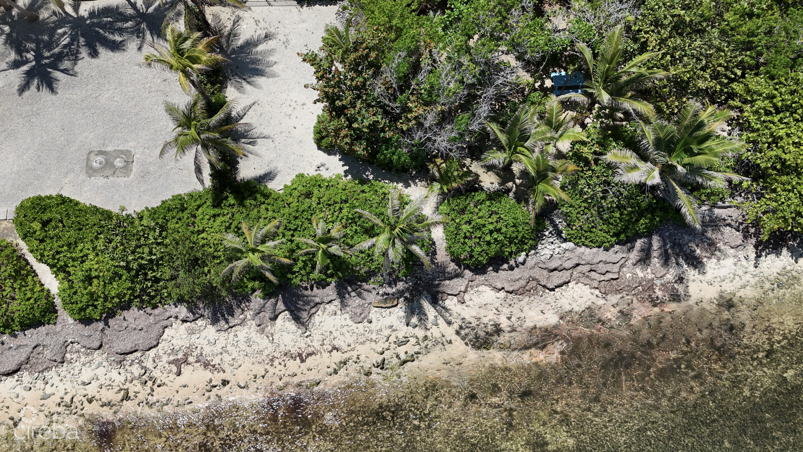 20261005150332 dji fly 20261005 114634 0055 1791219397516 photo