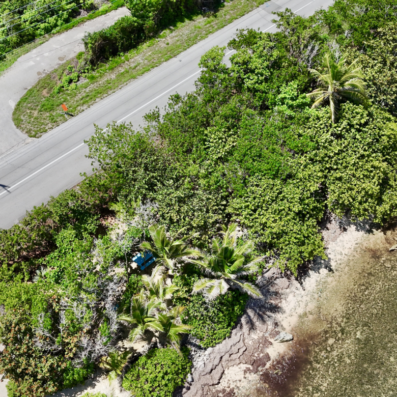 20261005150334 dji fly 20261005 114406 0043 1791219467594 photo