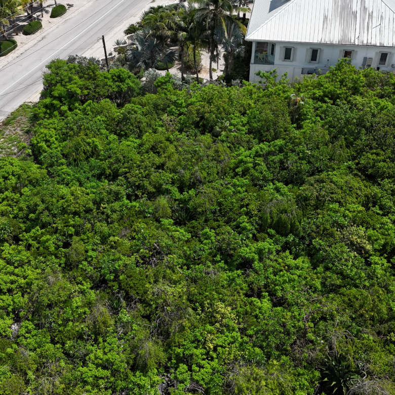 20261005150335 dji fly 20261005 111828 0029 1791217483206 photo