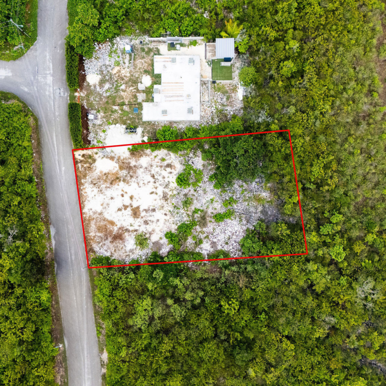 20260818065503 DJI 20260811143917 0028 D