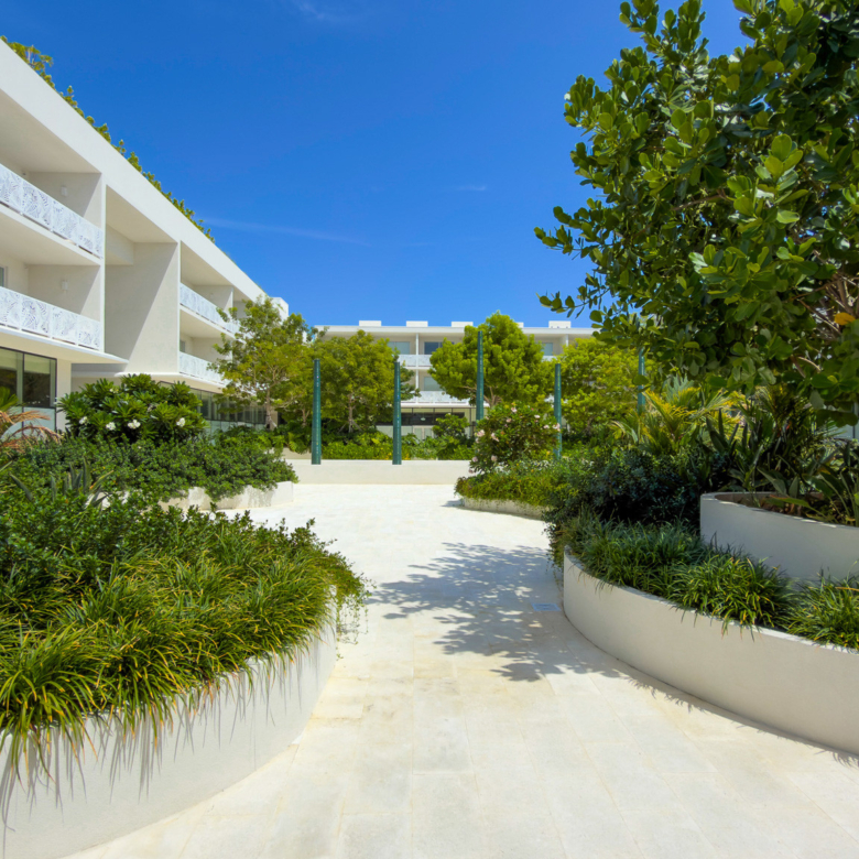 20260827165620 IMG E4924