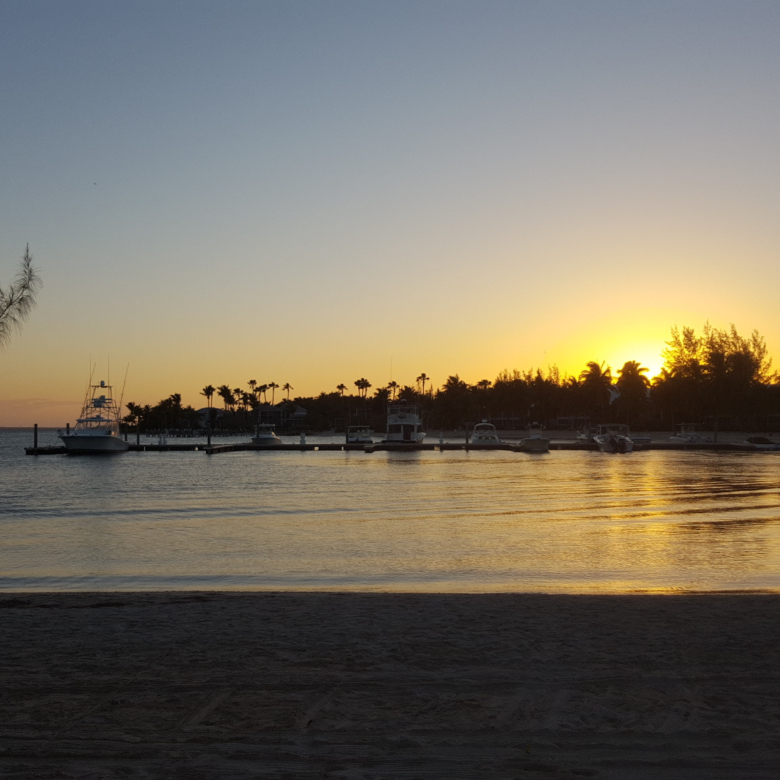 20260821114311 Kaibo at Sunset