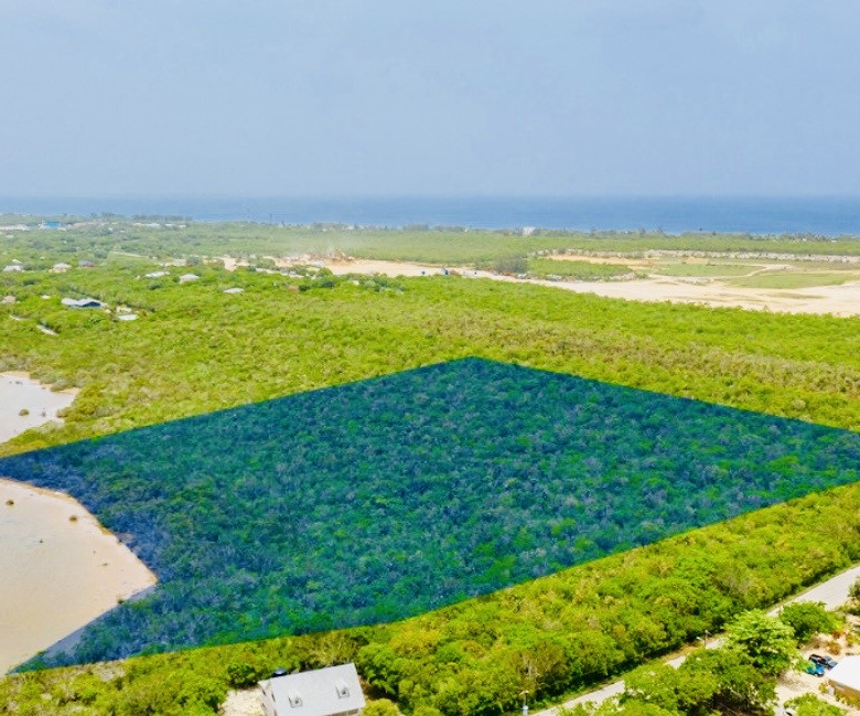 ALEXANDER GROVE SUBDIVISION – CAYMAN BRAC – POND LOT 1