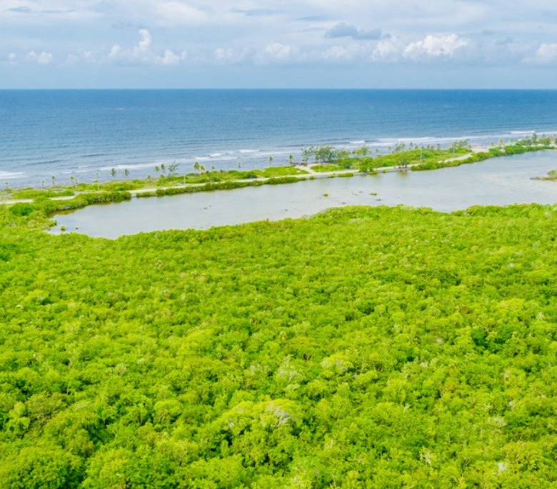 ALEXANDER GROVE SUBDIVISION – CAYMAN BRAC – LOT 3