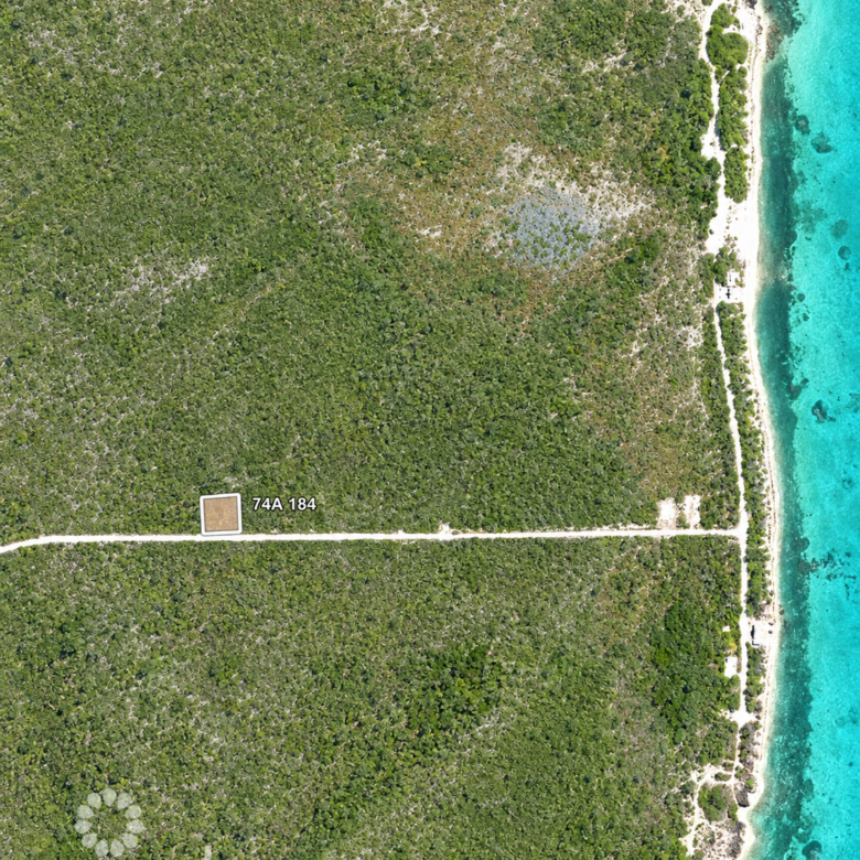 COLLIERS HOMESTEAD 1 ACRE