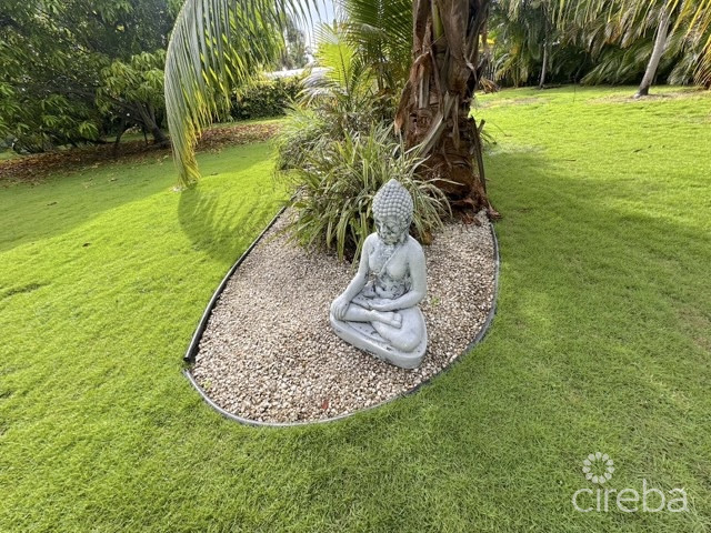20260926123135 iphoneyardbudda