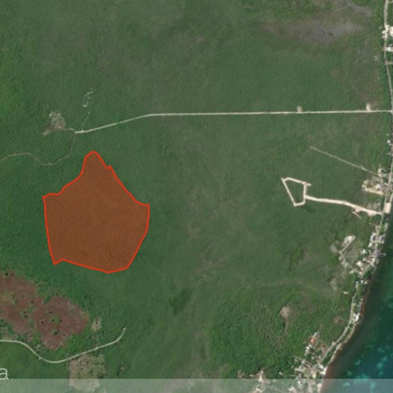 20261002161508 74A 55 Map 1 page0001